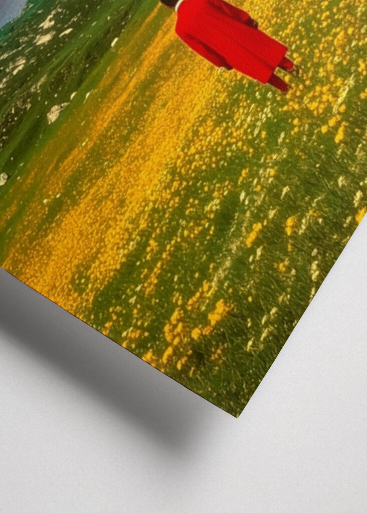 The Wanderer's Dream