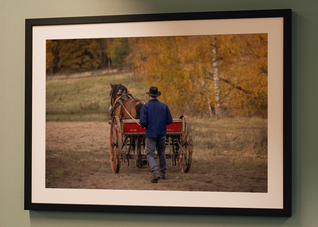 Semina con i cavalli 