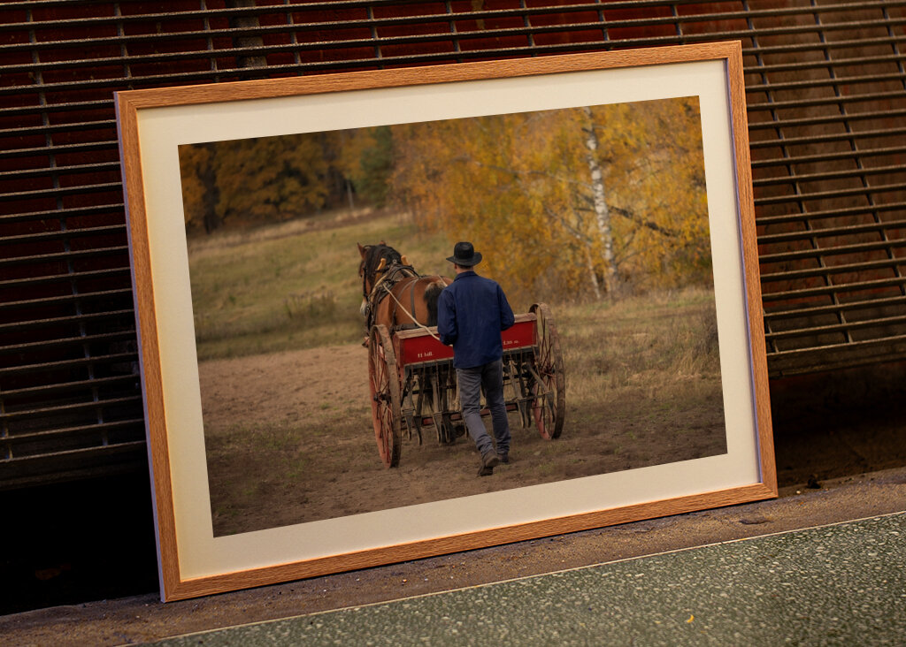 Semina con i cavalli 