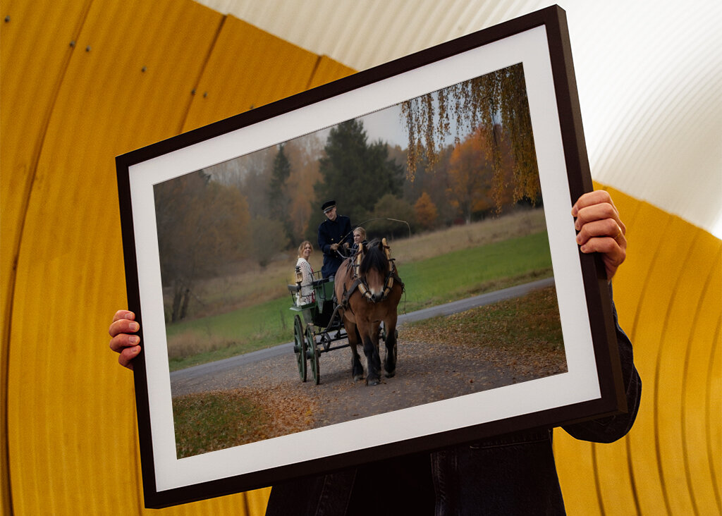 Paseo en carruaje tirado por caballos 