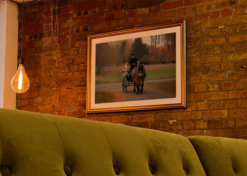 Paseo en carruaje tirado por caballos 