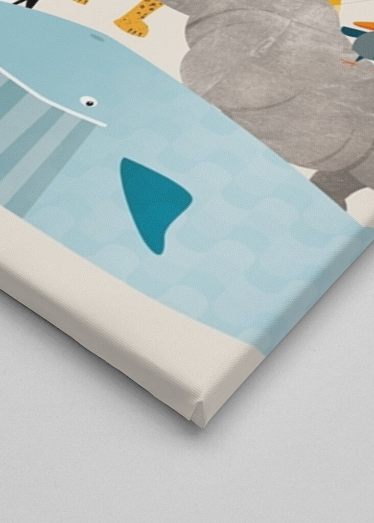 Dyr fra aber til zebraer