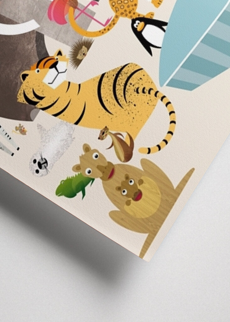 Dyr fra aber til zebraer