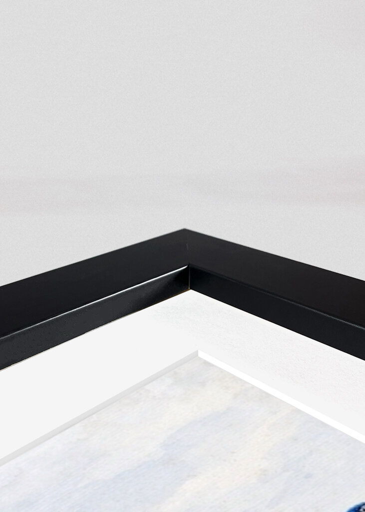 Dva exotičtí ptáci