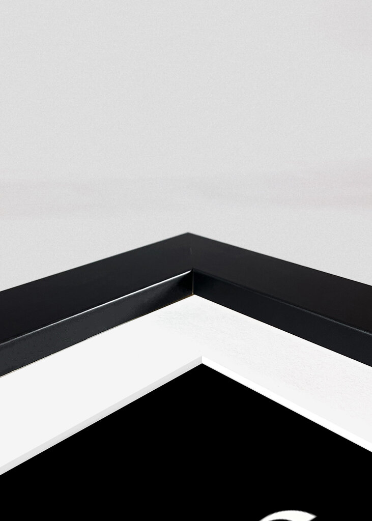 Discipline Definition - Black