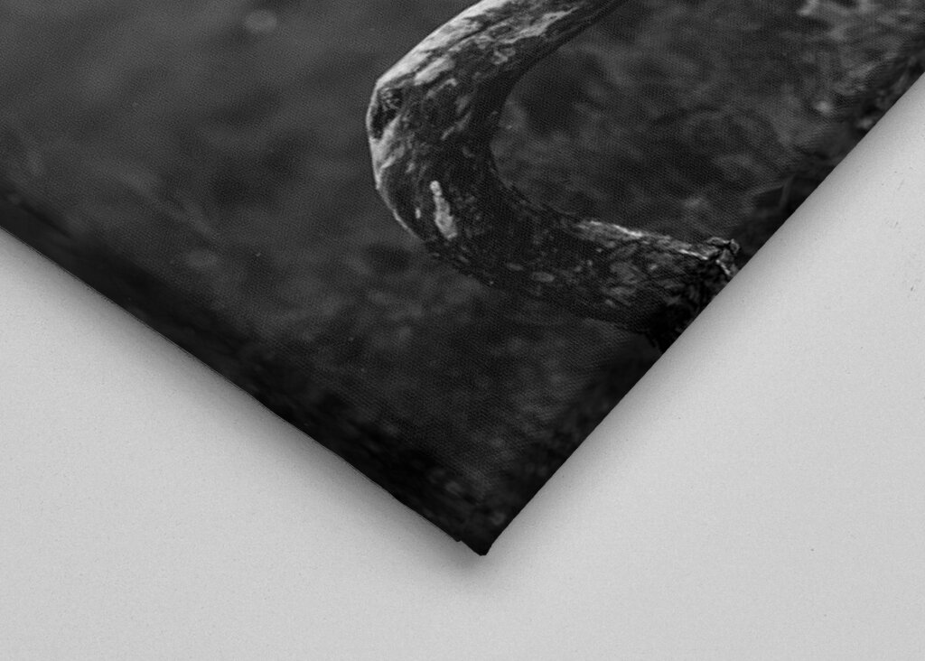 A védőszárnyak fensége