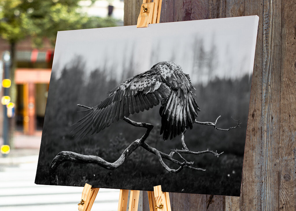 A védőszárnyak fensége