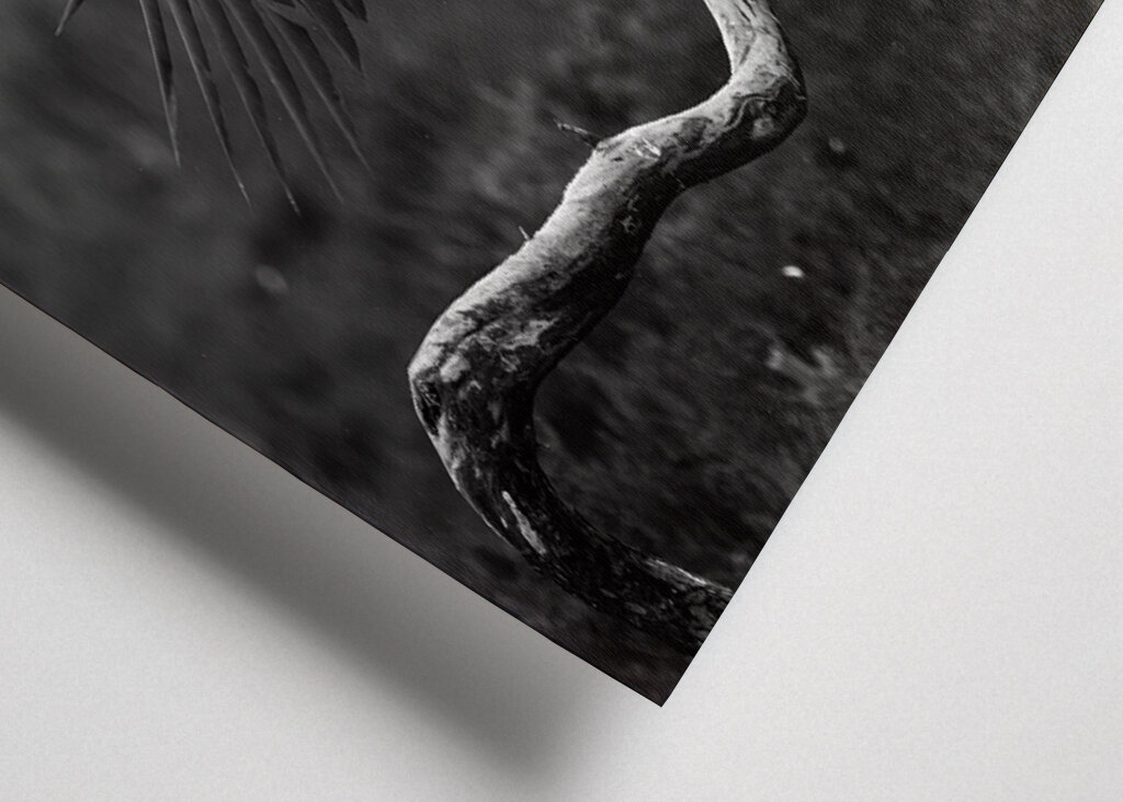 A védőszárnyak fensége