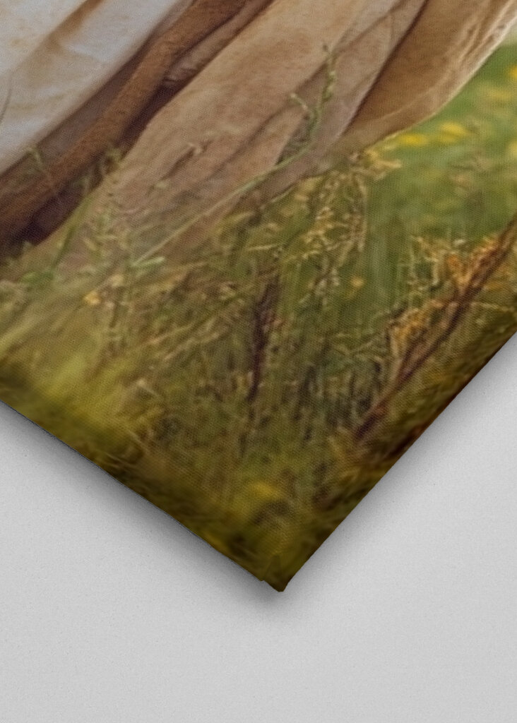 Jesus carrying a sheep