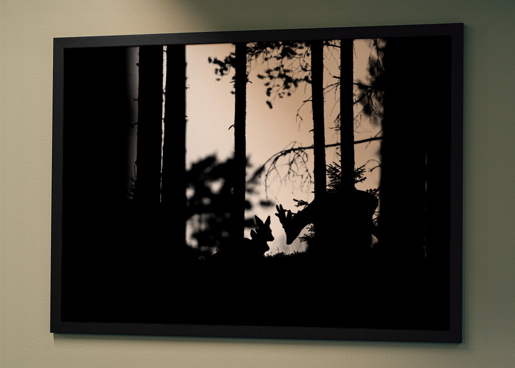 Der Rehbock und die Ziegen