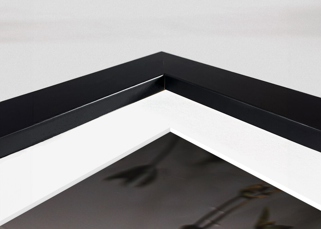 Reflections in Stillness.