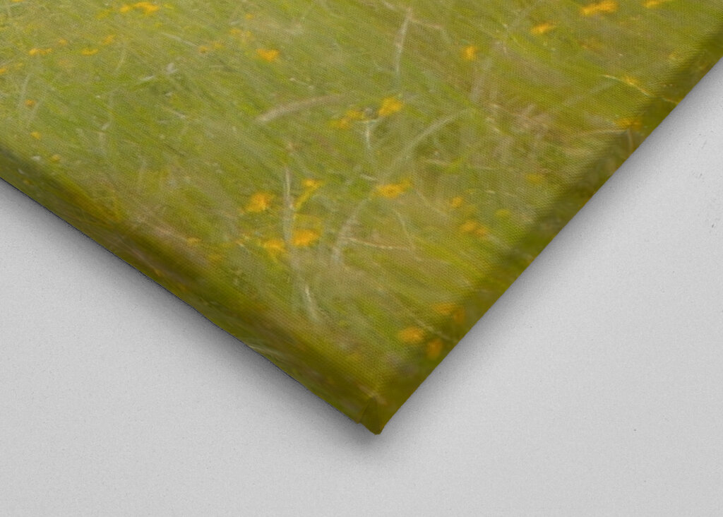 A szarvas a fű rejtett birodalmában