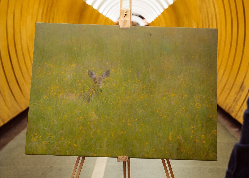 A szarvas a fű rejtett birodalmában