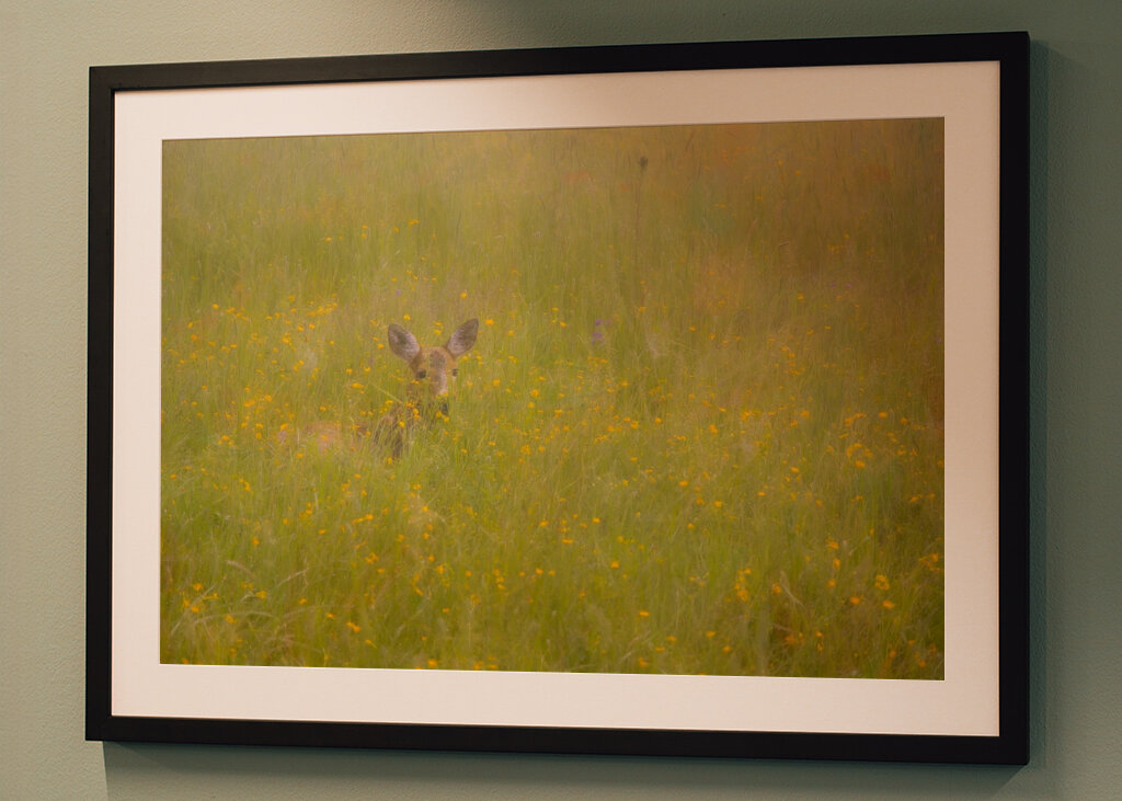 A szarvas a fű rejtett birodalmában