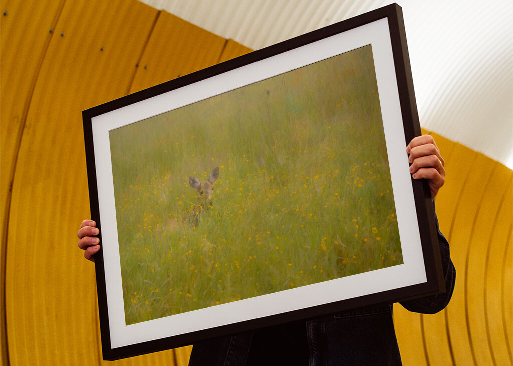 A szarvas a fű rejtett birodalmában