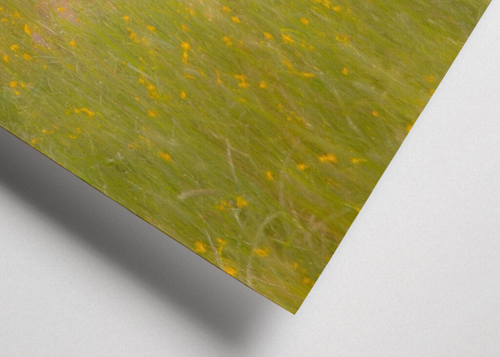 A szarvas a fű rejtett birodalmában