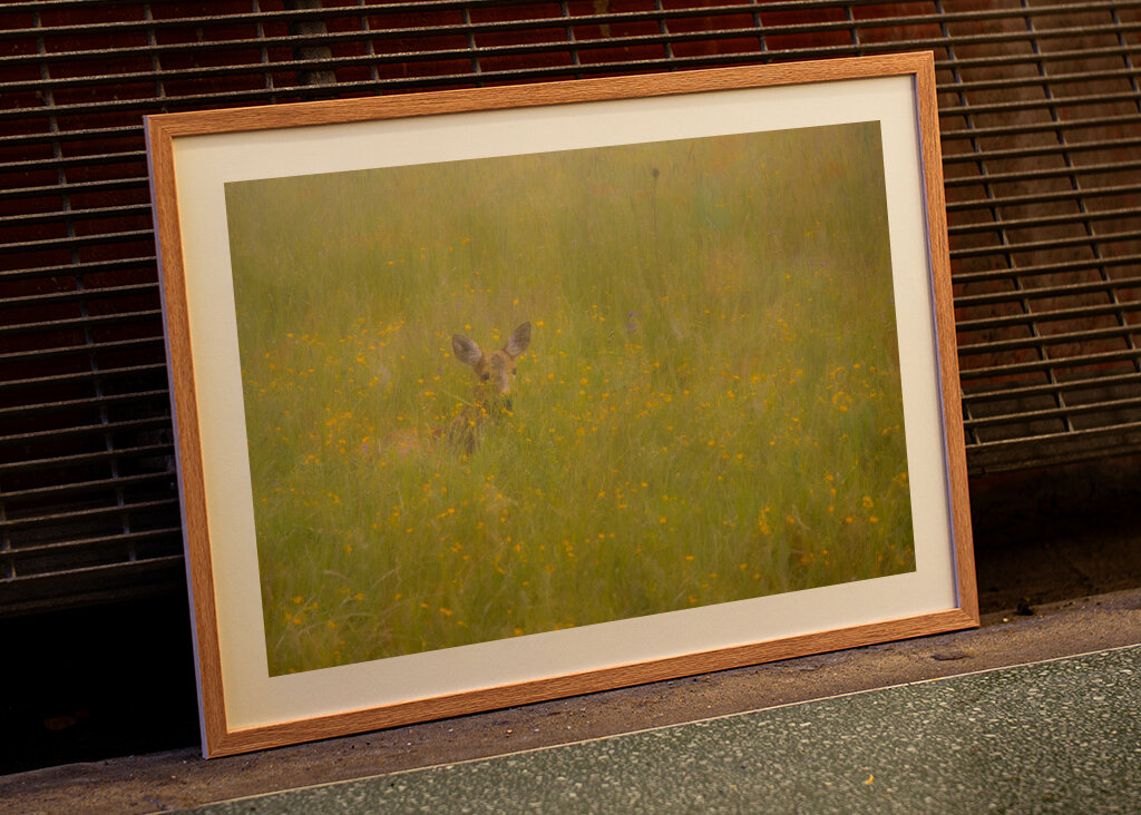 A szarvas a fű rejtett birodalmában