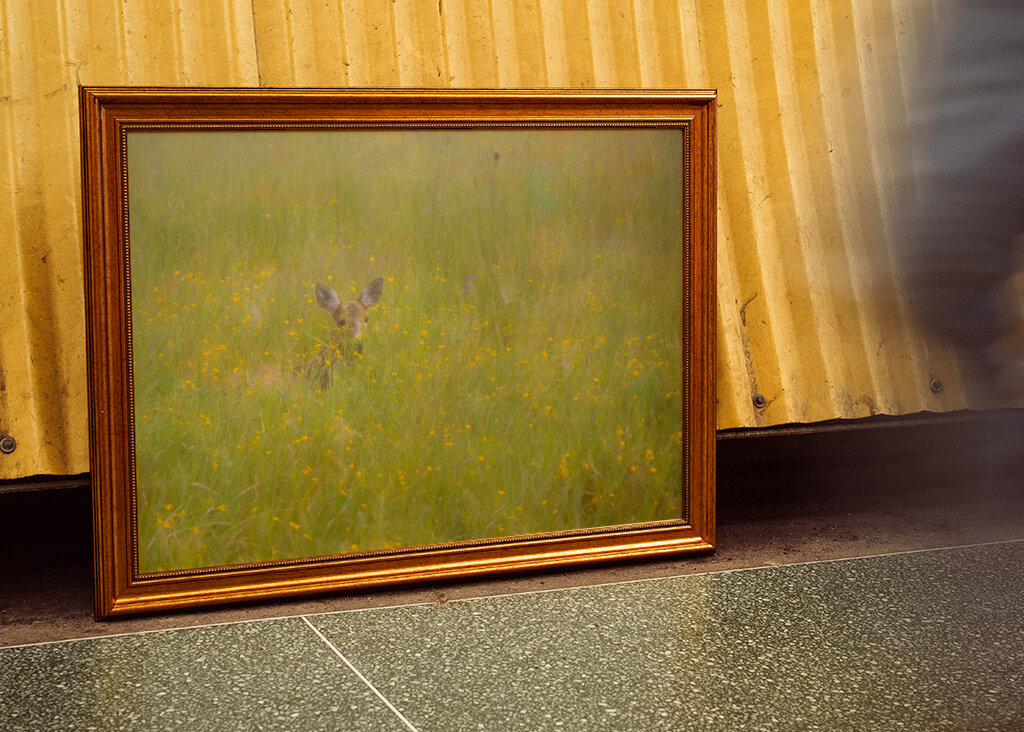 A szarvas a fű rejtett birodalmában