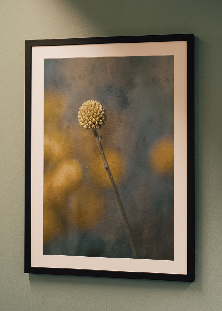 Sluneční koule modrá