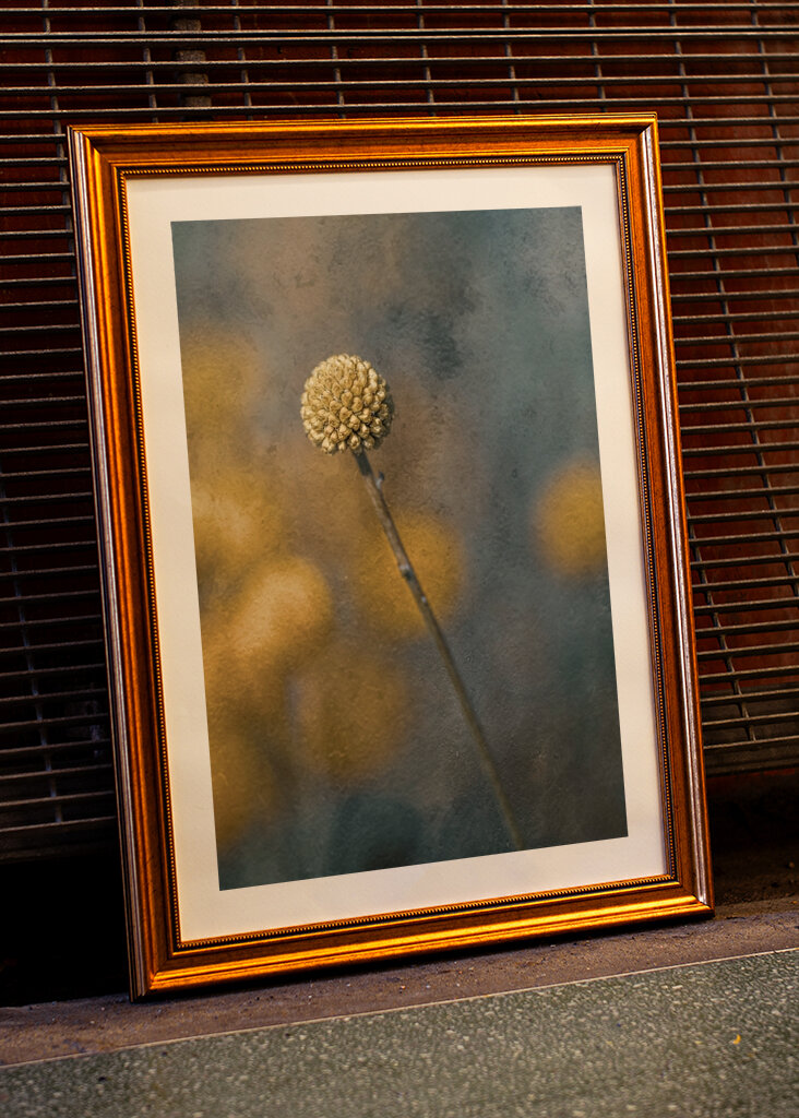 Sluneční koule modrá