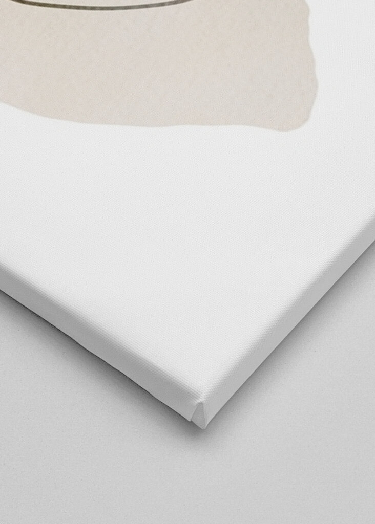 Harmonie abstraktních tvarů