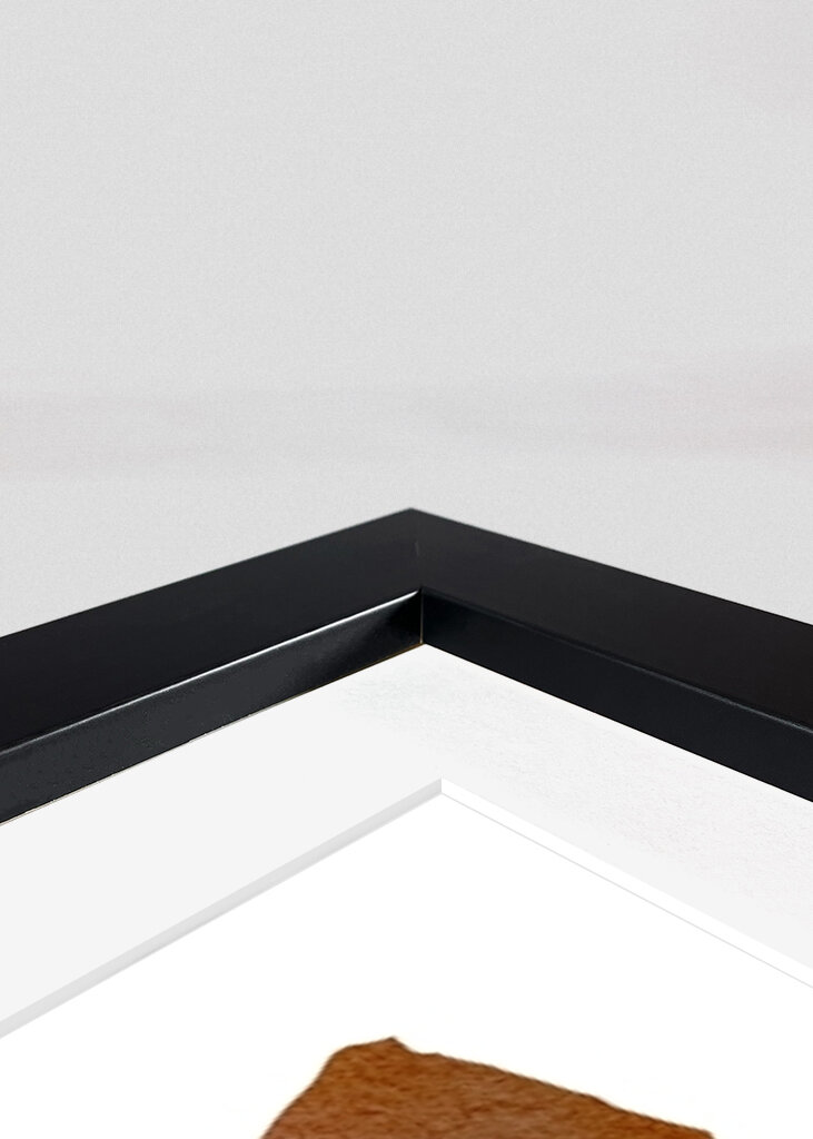 Harmonie abstraktních tvarů