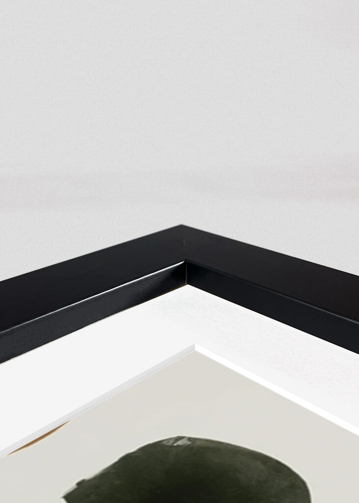 Geometrická harmonie