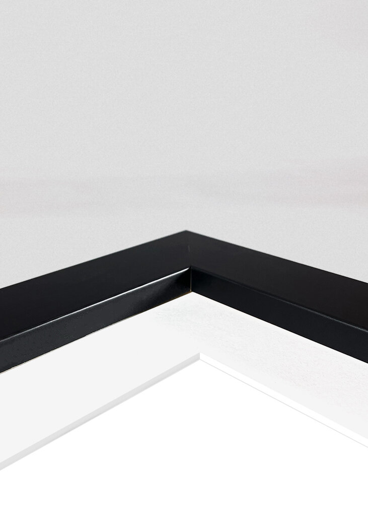 Minimalistiske ansigtslinjer