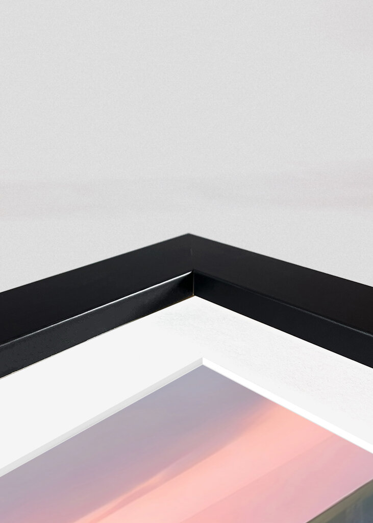 Solnedgang Kyst Bloom