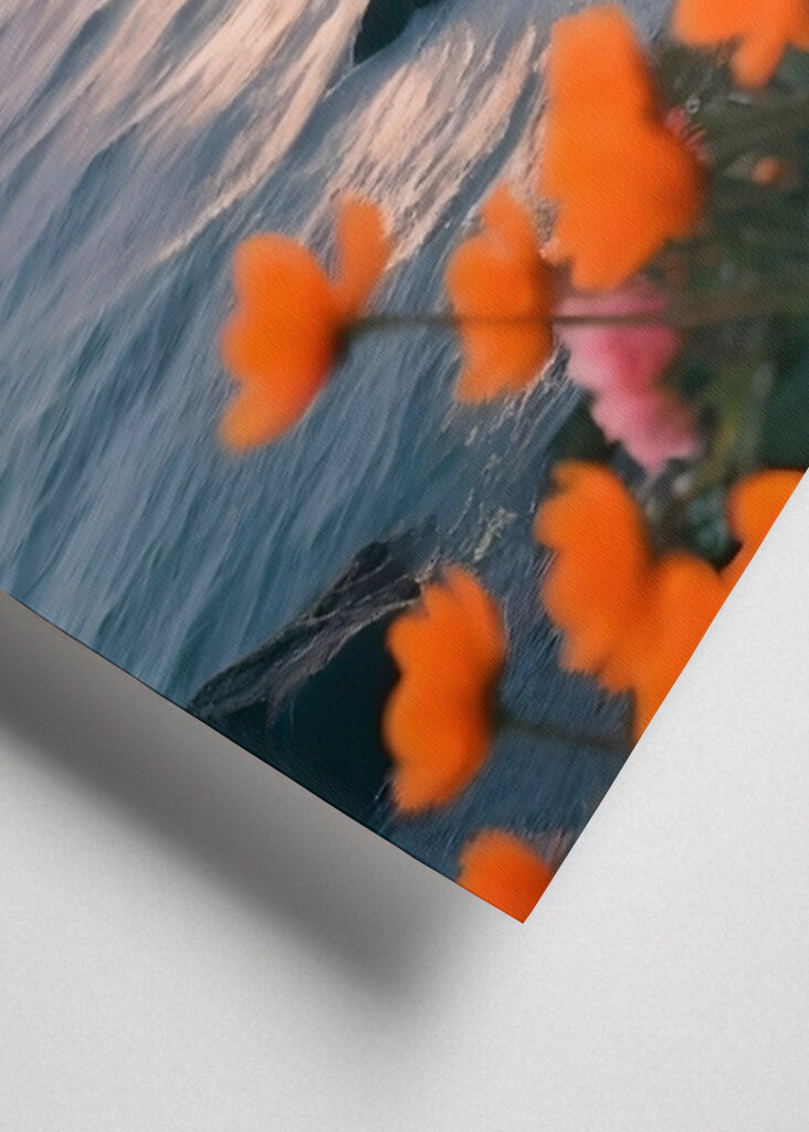 Solnedgang Kyst Bloom