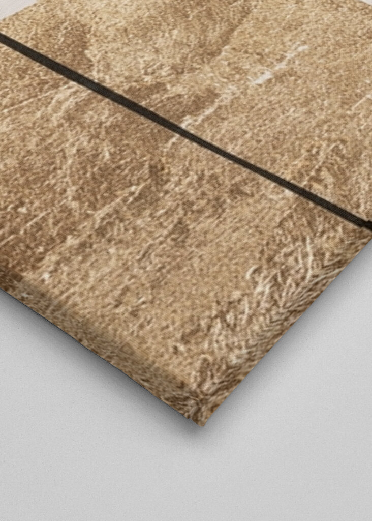 Abstract Gold Elegance