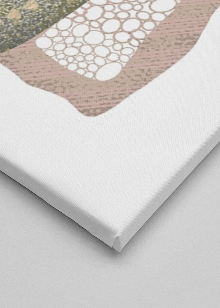 Botanická geometrie