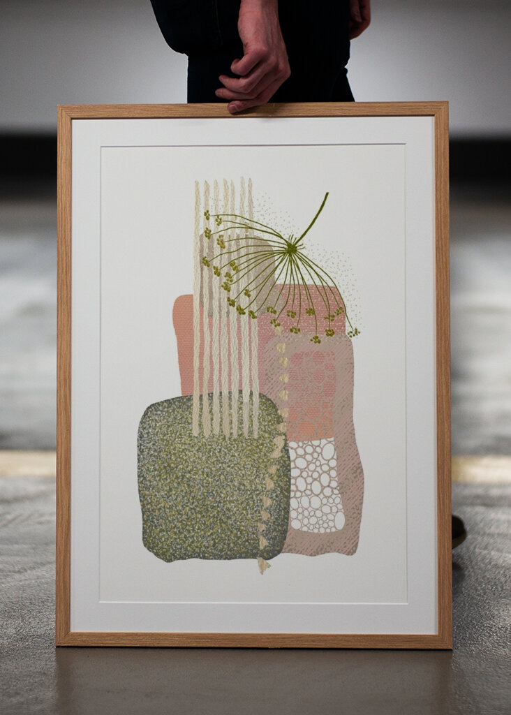 Botanická geometrie