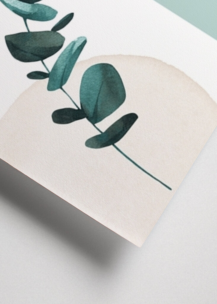 Harmonie klidných listů