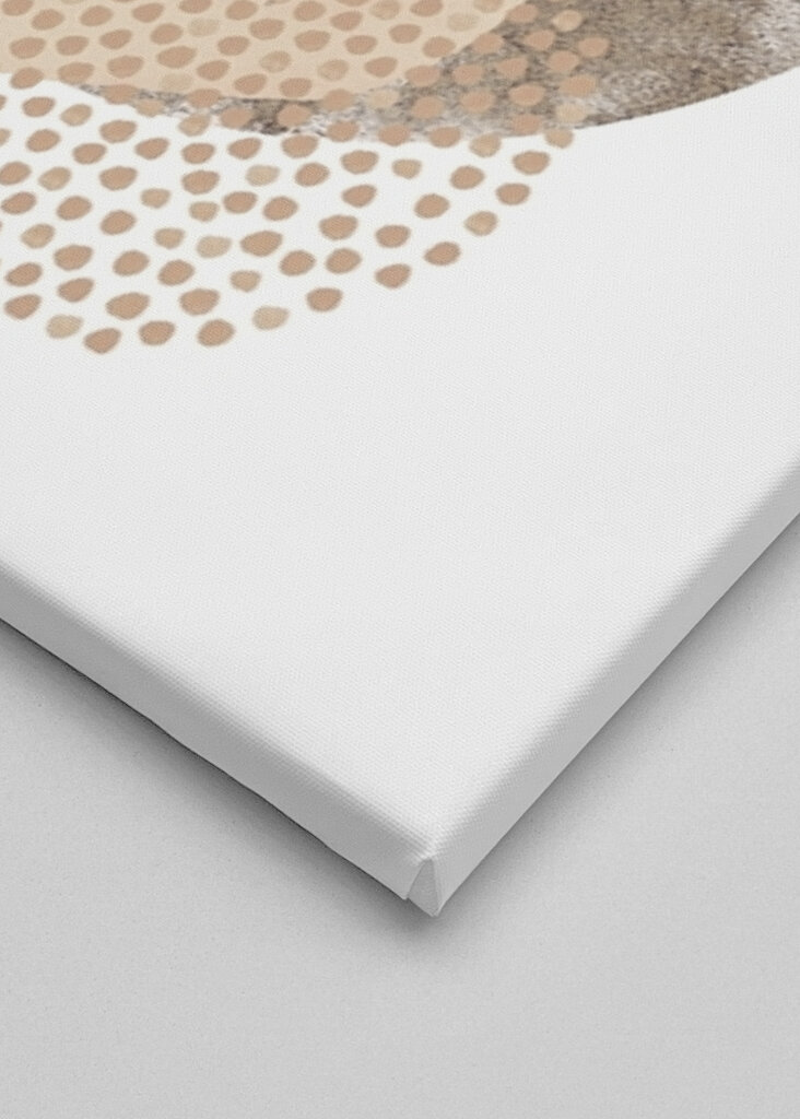 Harmonie abstraktních tvarů