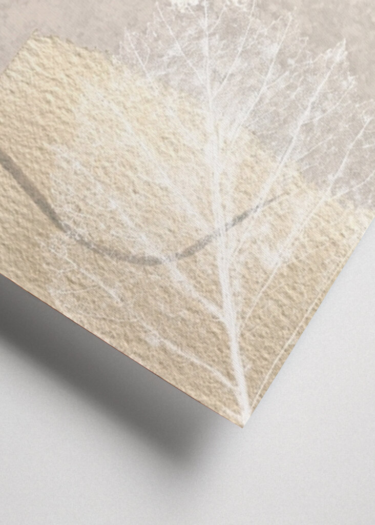 Strukturierte Eleganz