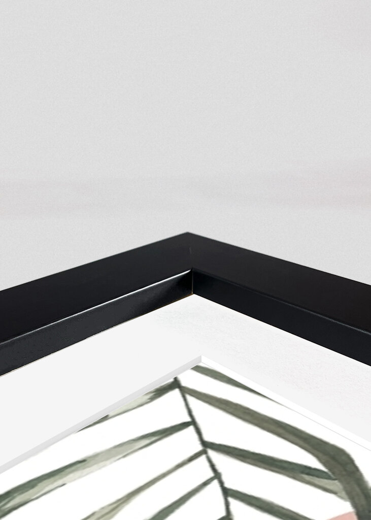 Tropical Blush Design