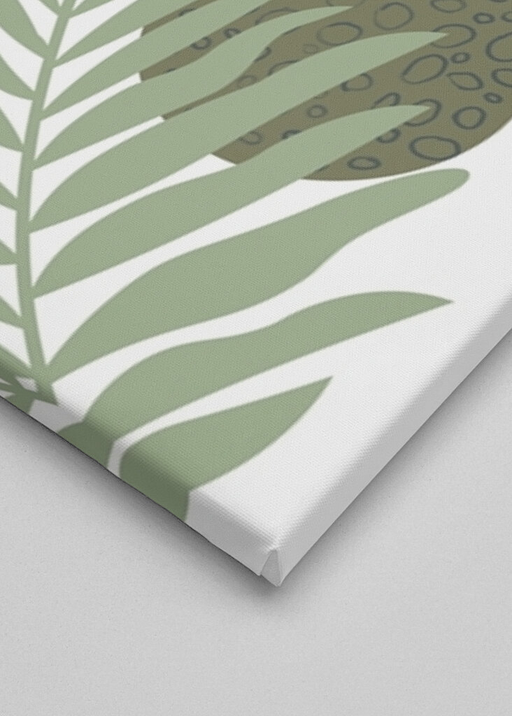 Harmonie tropických listů