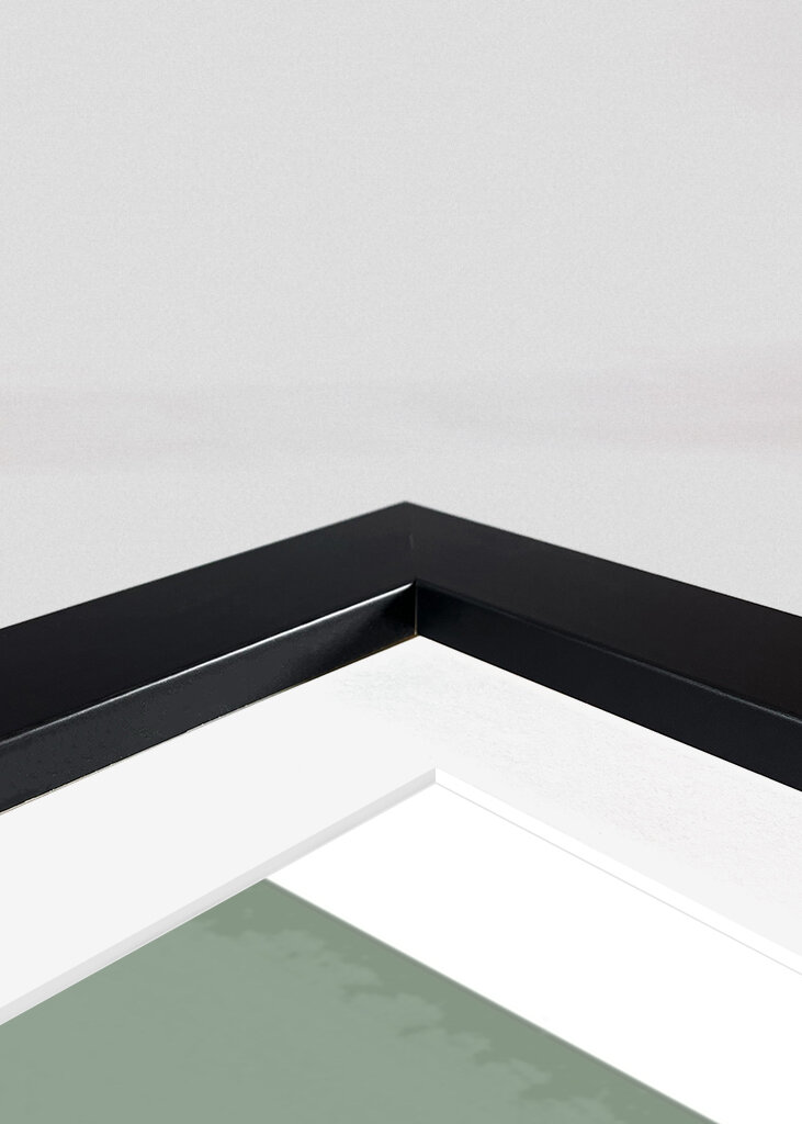 Harmonie tropických listů