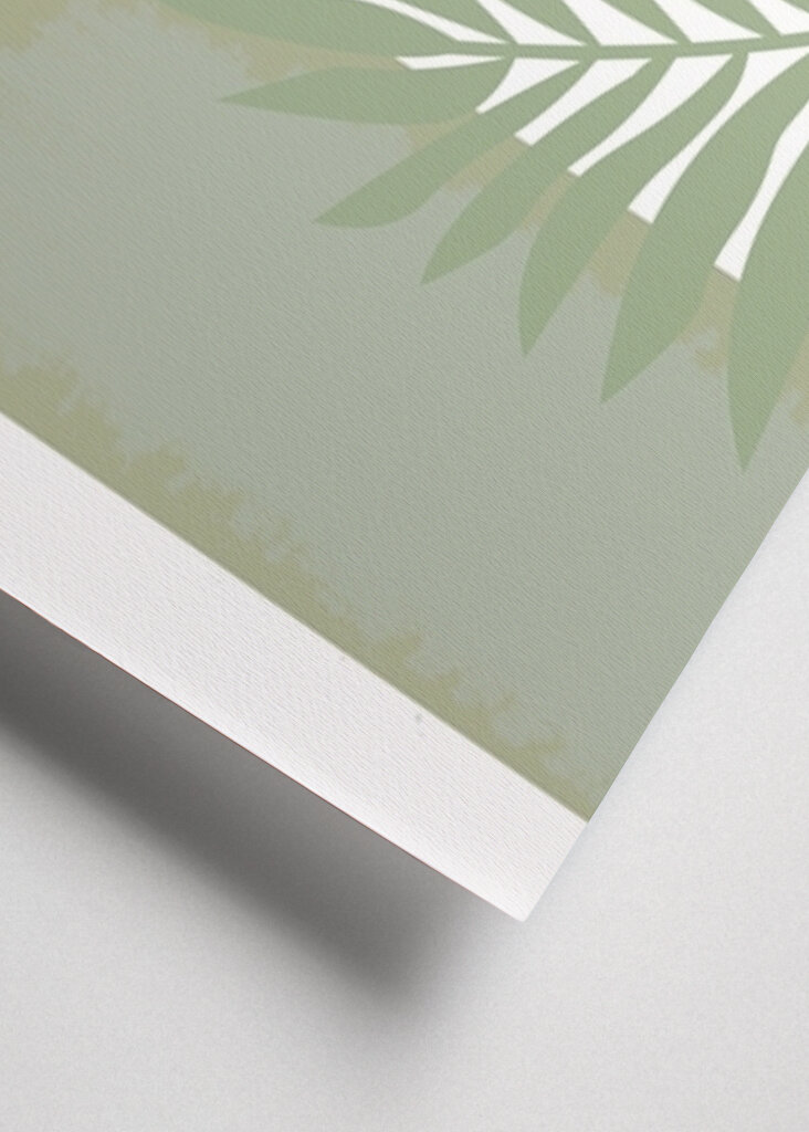 Harmonie tropických listů