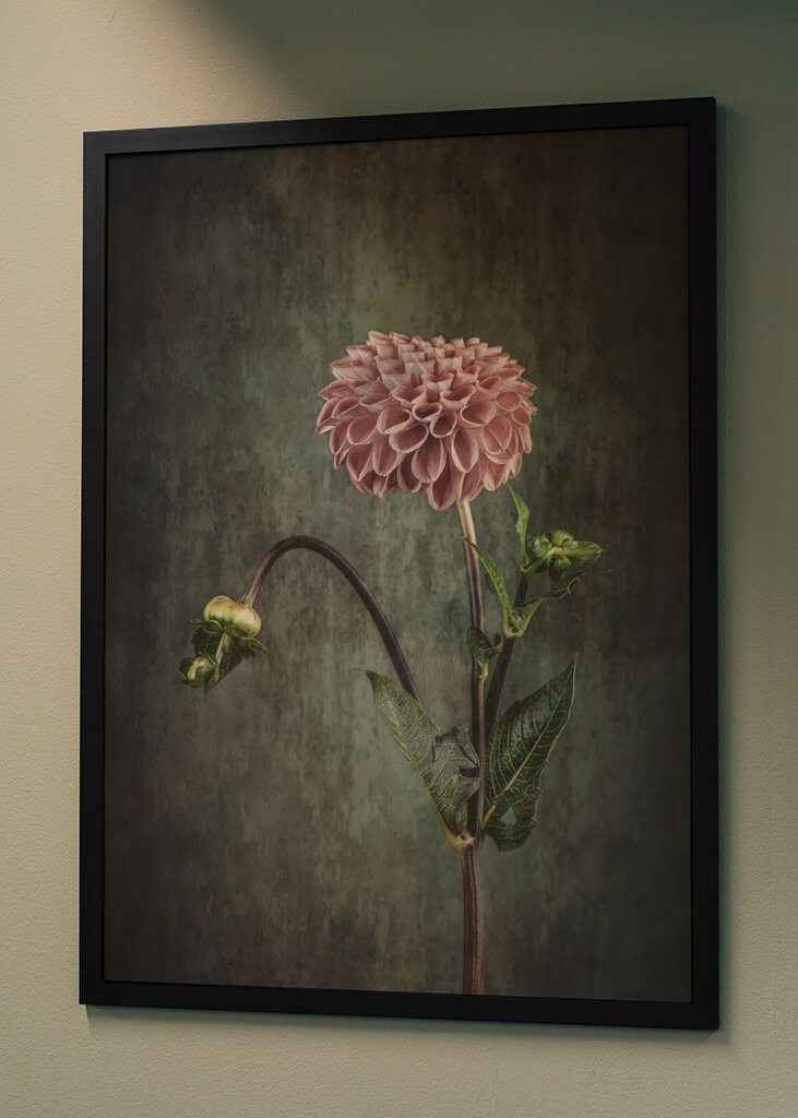 Dahlia Vintage blauer Rücken