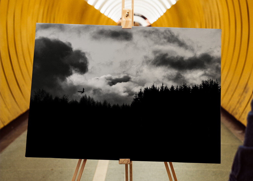 Rapace che vola nella foresta