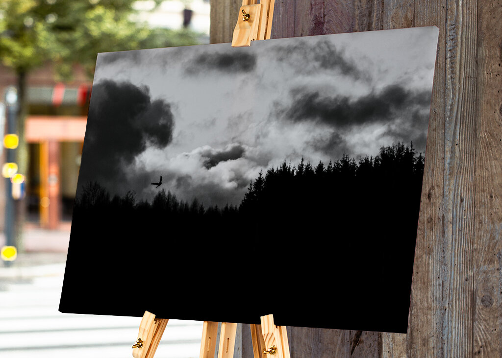 Rapace che vola nella foresta