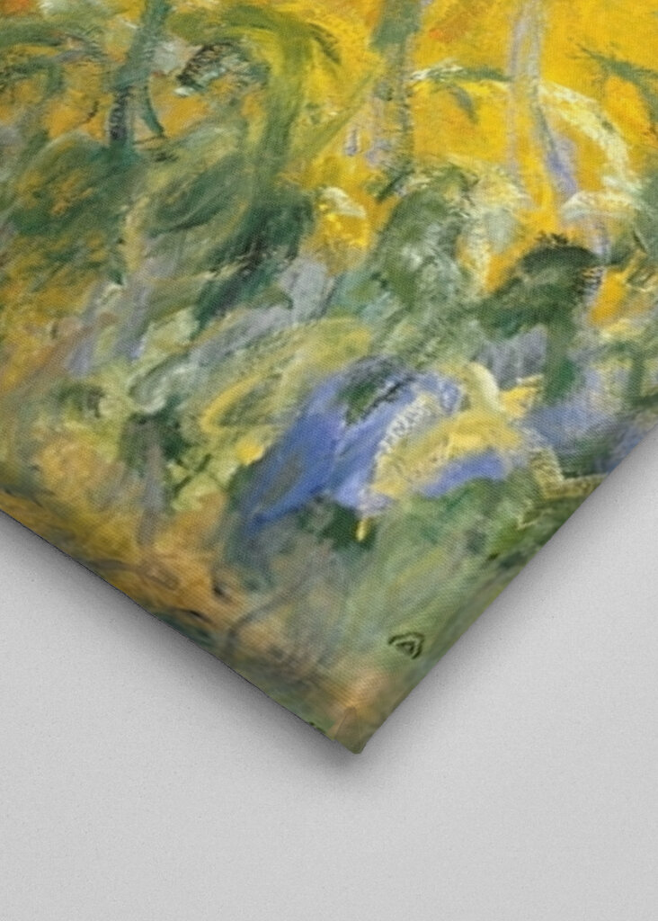 The Path through the Irises	