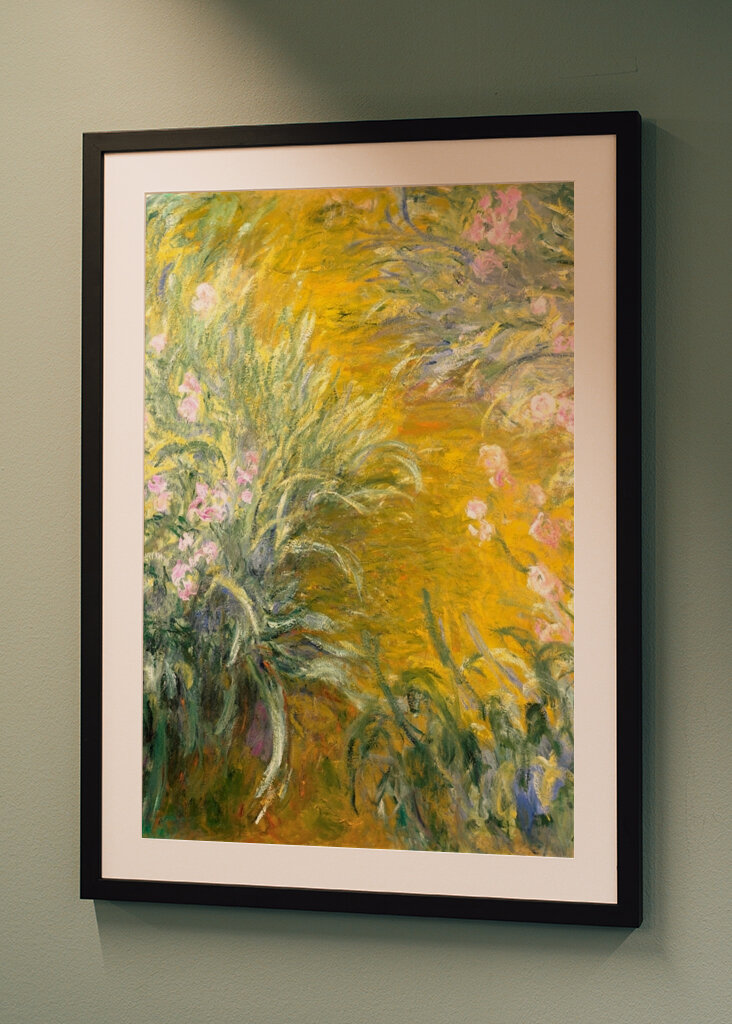 The Path through the Irises	