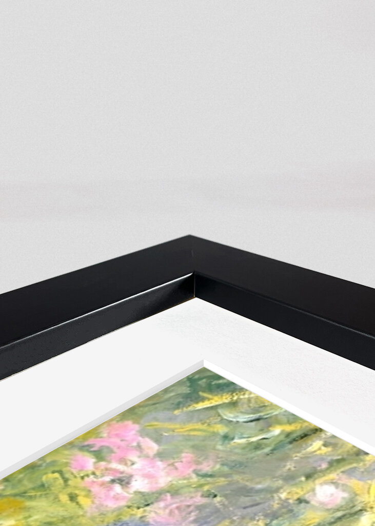 The Path through the Irises	