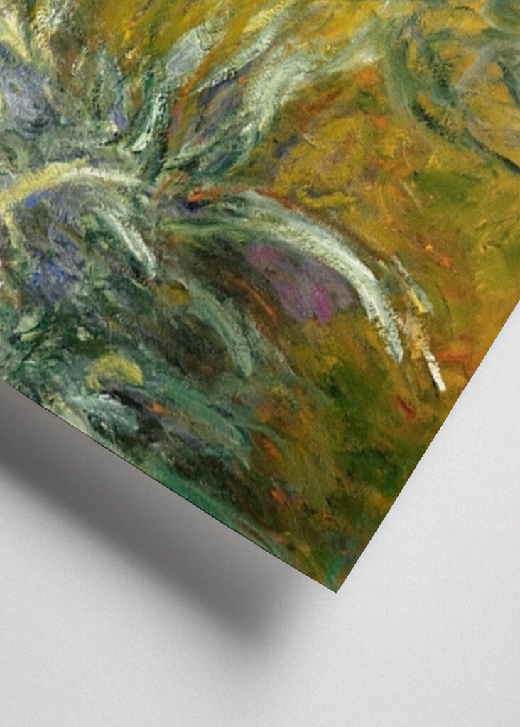 The Path through the Irises	