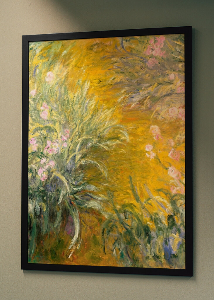 The Path through the Irises	