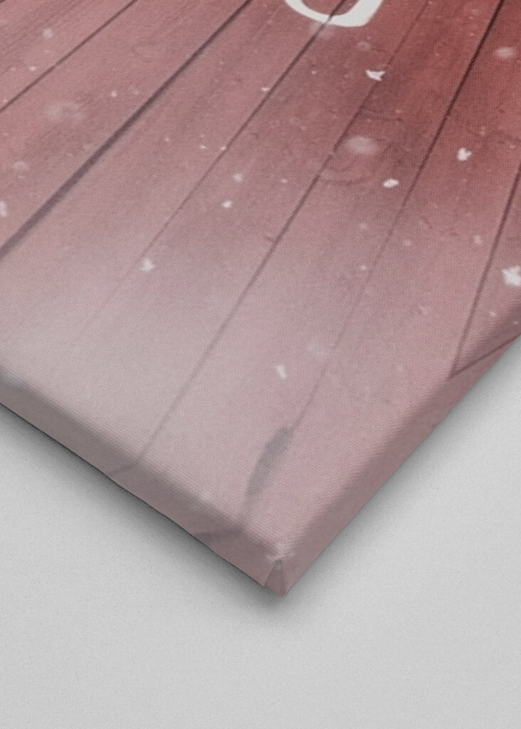 Snöflingor på röd lada