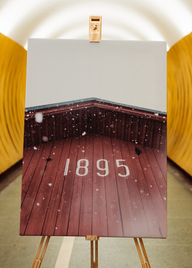 Snöflingor på röd lada